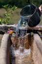 Pail of water used to fill a trough for cows