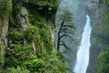 PailÃÂ³n del Diablo Waterfall, Ecuadorian Andes, Ecuador