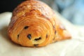 Pain au Chocolat Chocolate Croissant Royalty Free Stock Photo