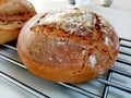 Pain au levain maison Royalty Free Stock Photo