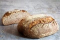 Two loafs or miche of French sourdough, called as well as Pain de campagne, on display on a wooden table.