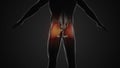 Pain and injury in the Gluteus Maximus Muscles