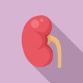 Pain kidney icon, flat style