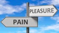 Pain and pleasure as a choice - pictured as words Pain, pleasure on road signs to show that when a person makes decision he can
