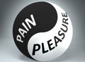 Pain and pleasure in balance - pictured as words Pain, pleasure and yin yang symbol, to show harmony between Pain and pleasure, 3d