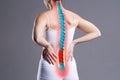 Pain in the spine, woman with backache on gray background, back injury Royalty Free Stock Photo