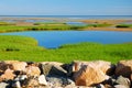 Paines State Park, Cape Cod