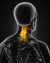 Painful Cervical Spine Royalty Free Stock Photo