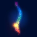 Painful lumbar spine, medically 3D illustration