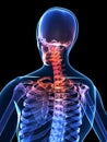 Painful neck Royalty Free Stock Photo