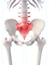 The painful sacrum