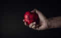 Painful, Sadness, Lack of freedom Concept. very Heartbreak and Sorrow. Hand Holding and Squeezing a Red Heart with Messy Copper