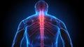 Painful spine skeleton x-ray, medical concept Royalty Free Stock Photo