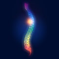 Painful thoracic spine, medically 3D illustration