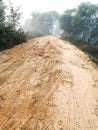 Paingari village route in a winter morning, nawada ,Bihar india