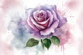 Paint a beautiful watercolor picture of a single purple rose