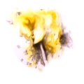 Paint black, yellow splash ink stain watercolour blob spot brush Royalty Free Stock Photo