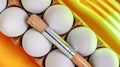 Paint brush with eggs on absteact yellow and green background Royalty Free Stock Photo