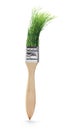 Paint Brush with Pine Leaves