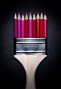 Paint brush with red colored pencils. Royalty Free Stock Photo