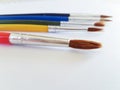 Paint brushes new isolated in white empty background for your text colors Royalty Free Stock Photo