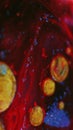 Paint bubbles ink water mix red golden glitter oil Royalty Free Stock Photo