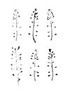 Paint Capsella bursa pastoris for design use. Abstract imprint background. Vector art illustration grunge leaf and