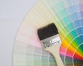 Paint colour palette