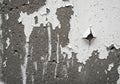 The paint is cracked and flaking, creating irregular patterns across the wall Royalty Free Stock Photo