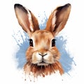 Colorful Watercolor Rabbit Illustration On White Background