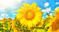 Paint flower.Background of sunny sunflowers.