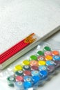 A paint-by-numbers kit, featuring a pre-drawn canvas with numbered sections, a set of colorful paint pots labeled with