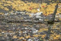 Paint peeled old wood board texture background Royalty Free Stock Photo