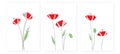 Poppy flower, vector. Three pieces poster design. Minimalist art design, wall artwork. Poppy flower illustration Royalty Free Stock Photo