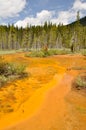 Paint Pots in Kootenay National Park, Canada Royalty Free Stock Photo
