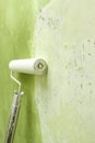 Paint roller applying paint on white wall, home improvements