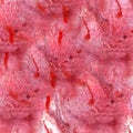 Paint splash ink red, brown blot and white abstract art brushe Royalty Free Stock Photo