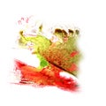 Paint splash ink red, green blot and white abstract art brushe Royalty Free Stock Photo