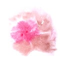 Paint splash ink stain watercolour pink, brown blob spot brush w