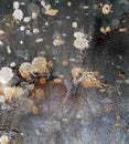 Paint Splatter Rust Abstract