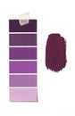 Paint Swatch