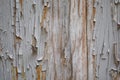 Paint texture on wood. door with a sense of the background of the old and beautiful plane