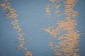 Paint on wall peeling seamless texture with pattern of rustic blue grunge material. Royalty Free Stock Photo