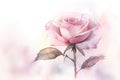 Paint a watercolor illustration of a pink rose flower with a romantic and enchanting effect