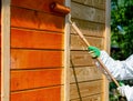 Paint wooden wall with roller brush in orange color by  painter in working clothes Royalty Free Stock Photo