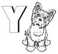 Paint yorkie with letter