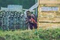 Paintball game battle, players and guns. Latvia, Cesis. 2012