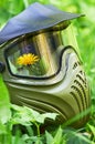 Paintball mask with flower Royalty Free Stock Photo