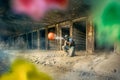 Paintball player shoot Royalty Free Stock Photo