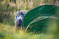 Paintball sport player in protective uniform and mask playing with gun outdoors and hiding Royalty Free Stock Photo